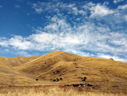 Three Data Center Clusters in Qinghai Province