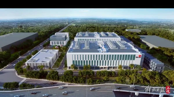 Completion and delivery in the first half of next year: China Unicom Shanghai Lingang International Cloud Data Center enters the main structure construction