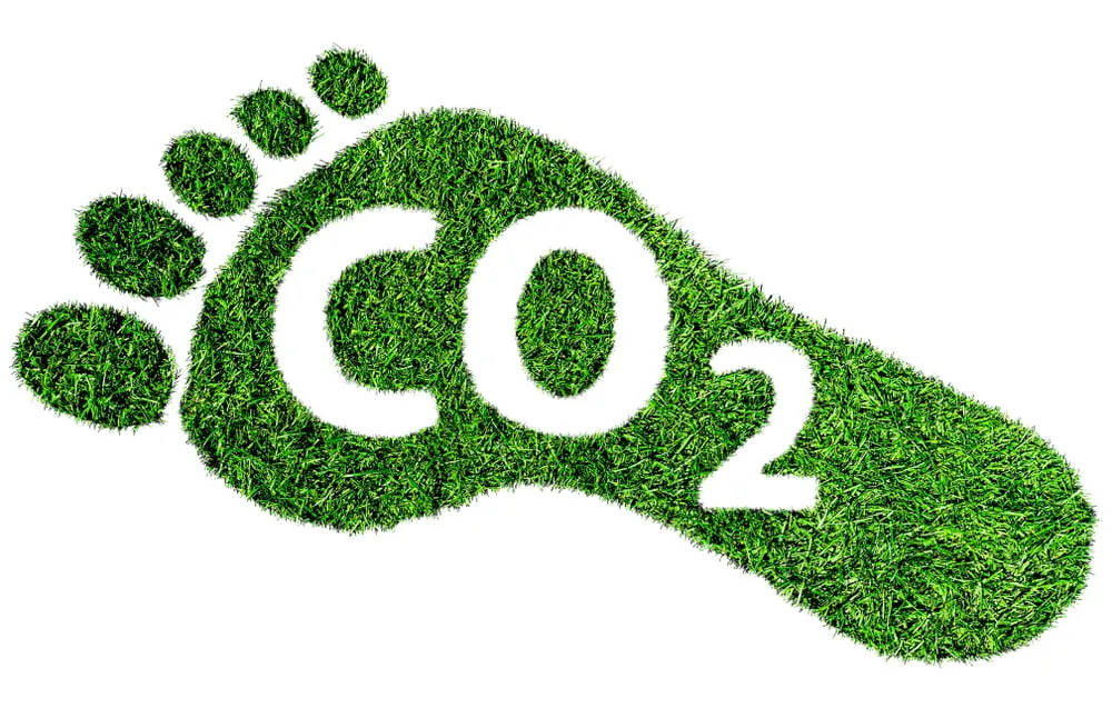 Green Development: Reducing the carbon footprint of China's data centers