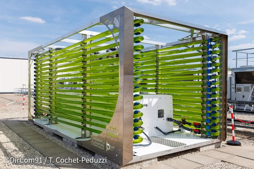 Data4 unveils system that uses data center waste heat to grow algae