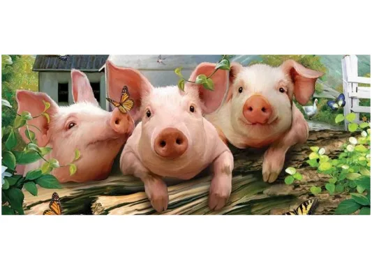 Big Data and Animal Husbandry: Chengdu City, Sichuan Province, China, Establishes a Big Data Platform for Raising Pigs