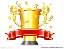 Overseas Data Center Service Provider Award Programme